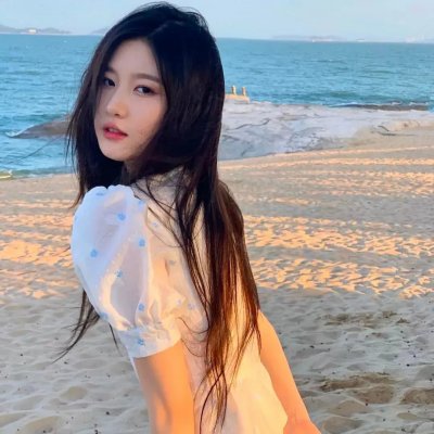 藏獒多吉